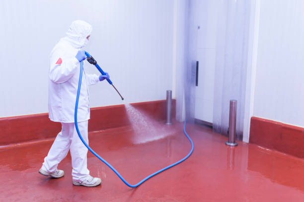 Best Driveway Pressure Washing  in Burnet, TX